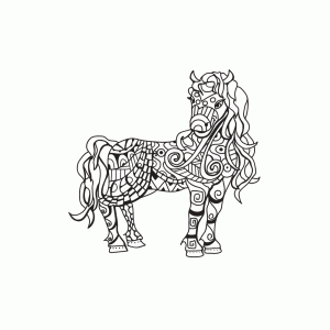 Pony