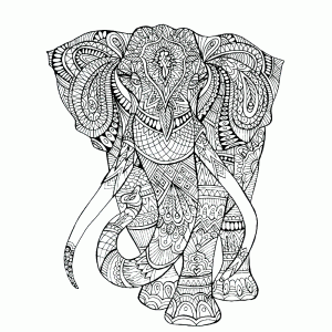 olifant