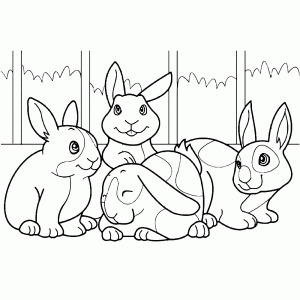 Een groepje konijnen