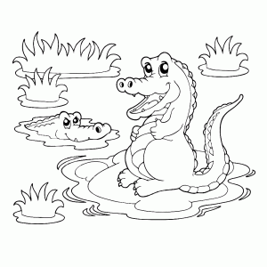 Twee krokodillen bij het water