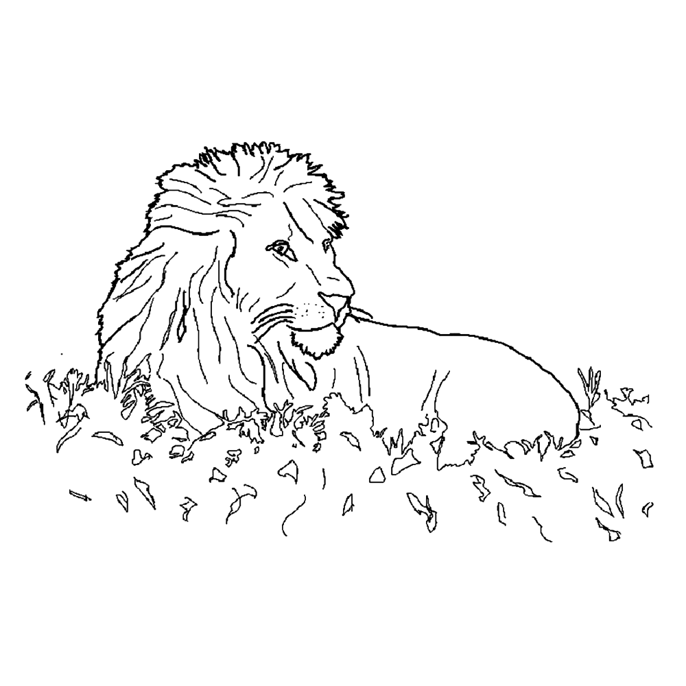 bekijk Deze leeuw rust uit kleurplaat