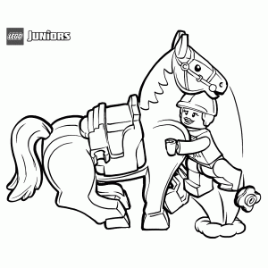Een knuffel voor het paard