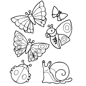 diertjes: slak, vlinders en een lieveheersbeestje