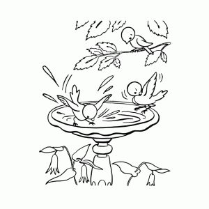 4500 Top Bird Bath Coloring Pages For Free