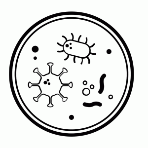 Microben in een petrischaaltje