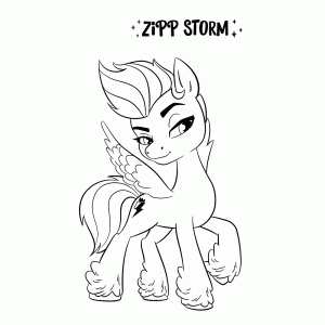 Zipp Storm