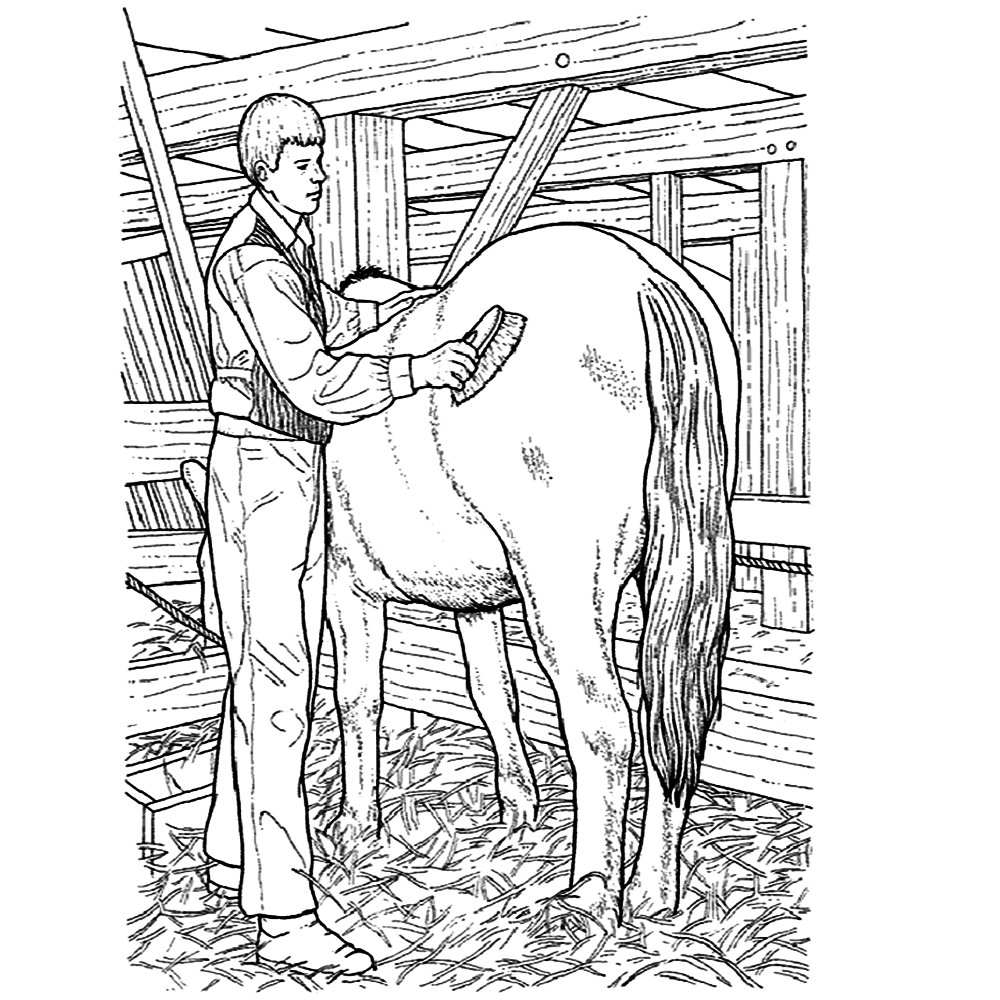 bekijk op de boerderij: het paard wordt geborsteld kleurplaat