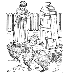 op de boerderij: kippen voeren