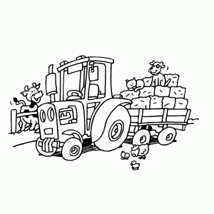 De tractor haalt het hooi van het land