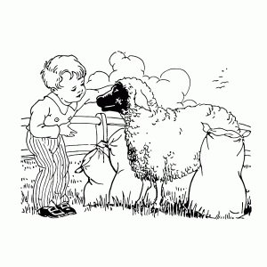 Het jongetje aait het schaapje