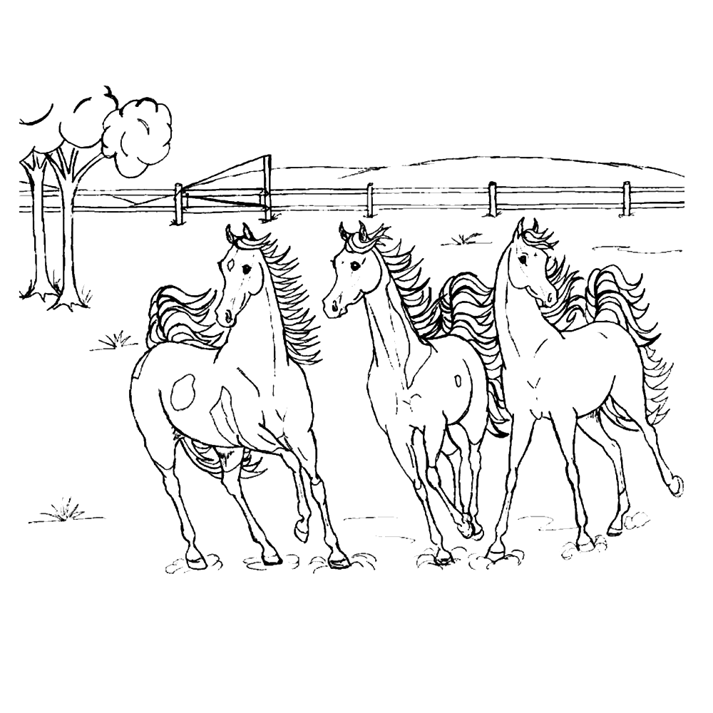 bekijk Paarden in de wei kleurplaat