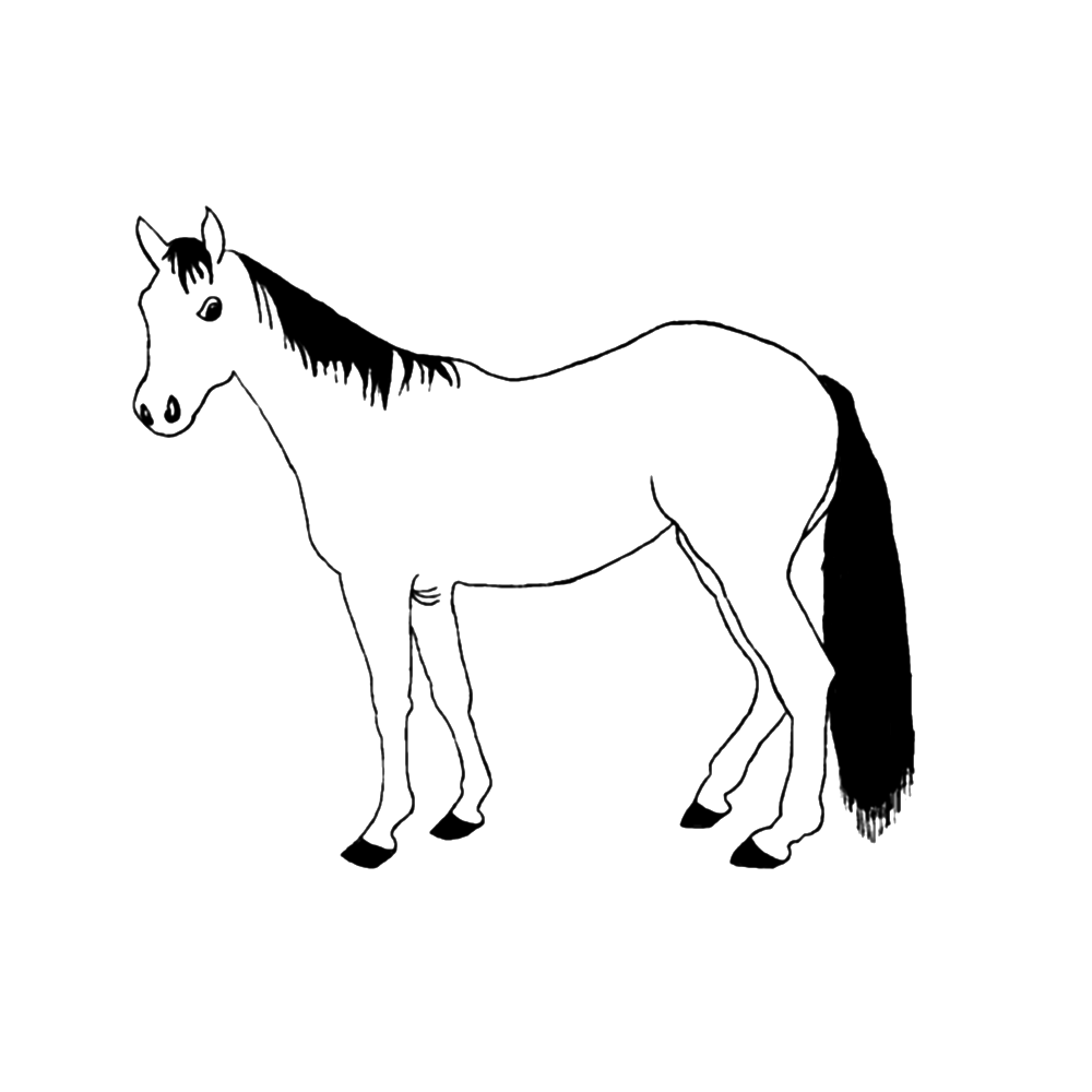 bekijk paarden-0010 kleurplaat