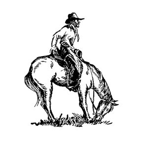 Een cowboy te paard