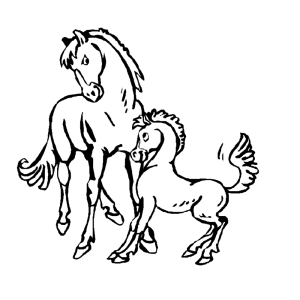 Een paard met een veulentje
