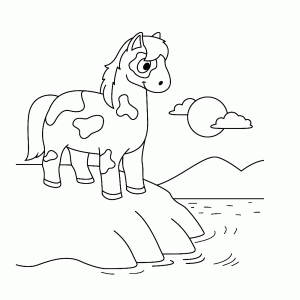 Een gevlekte pony bij het water