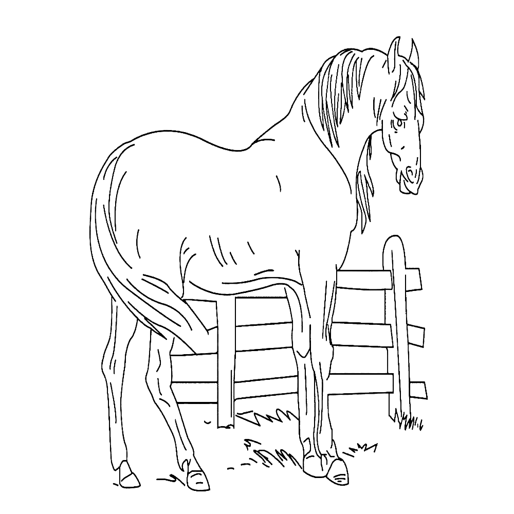 bekijk Een paard in de wei kleurplaat