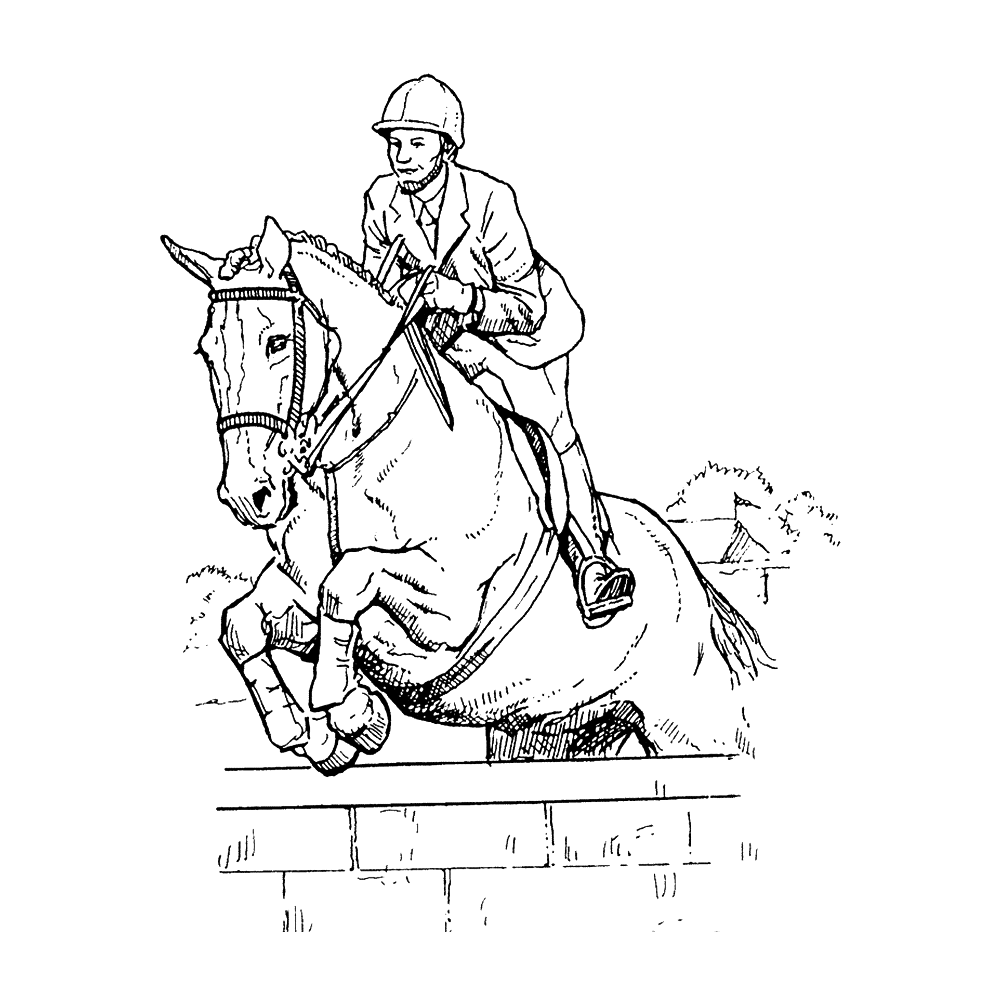 bekijk Military ruiter met paard springt over een hindernis kleurplaat