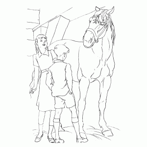 Paard op stal