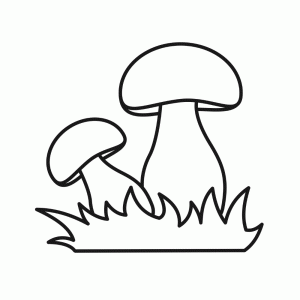 Two simple mushrooms