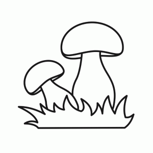 Paddenstoelen