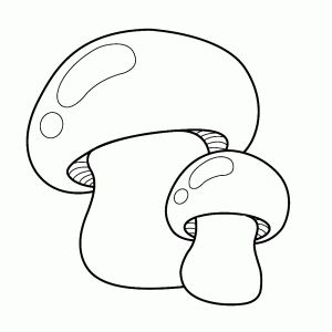 A large and a small mushroom
