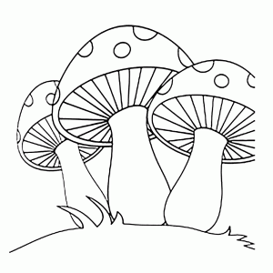 Mushrooms with red and white dots