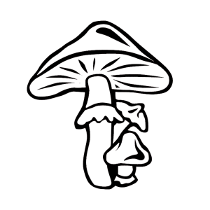 Some mushrooms