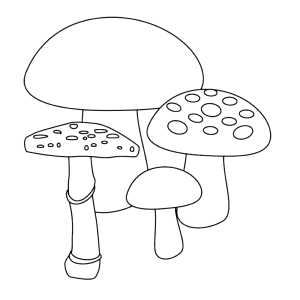 Fly agaric