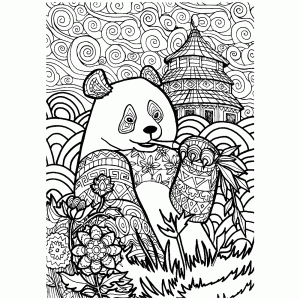 Gedetailleerde tekening van een panda