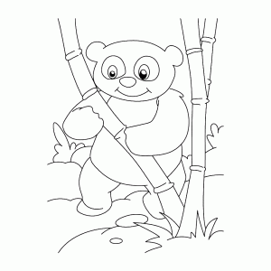 Een panda pakt een dikke bamboetak
