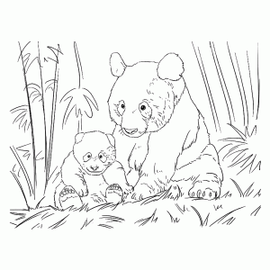 Pandamoeder met haar kind