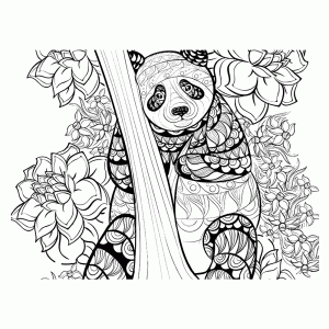 Panda in een boom