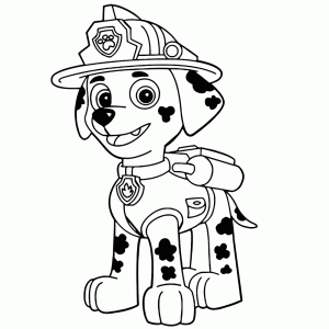 Dalmatier Marshall