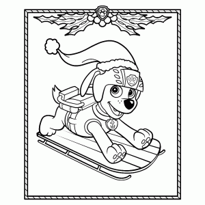 Zuma on the sled