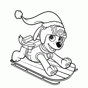 Zuma on the sledge