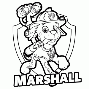 Marshall met badge