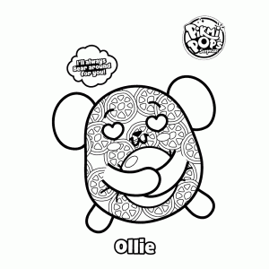 Ollie   Always bear around