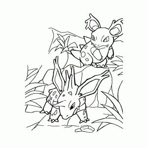 Nidorino & Nidoran