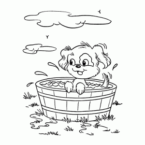 Deze puppy gaat graag in bad