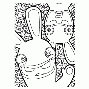 Rabbids invasion