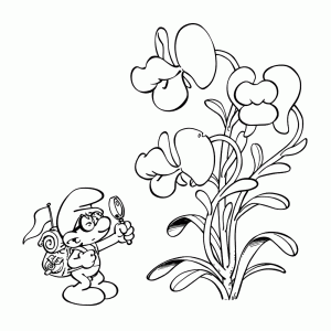 Brilsmurf bestudeert een bloem