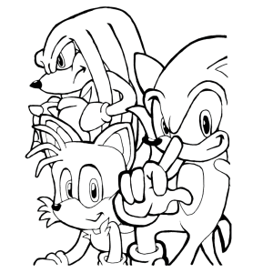 Sonic, Knuckles en Amy