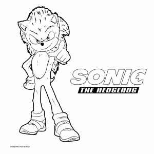 Sonic The Hedghog