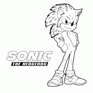 Sonic the Hedgehog