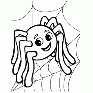 Vrolijke spin in een web