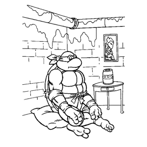 TMNT in meditatie