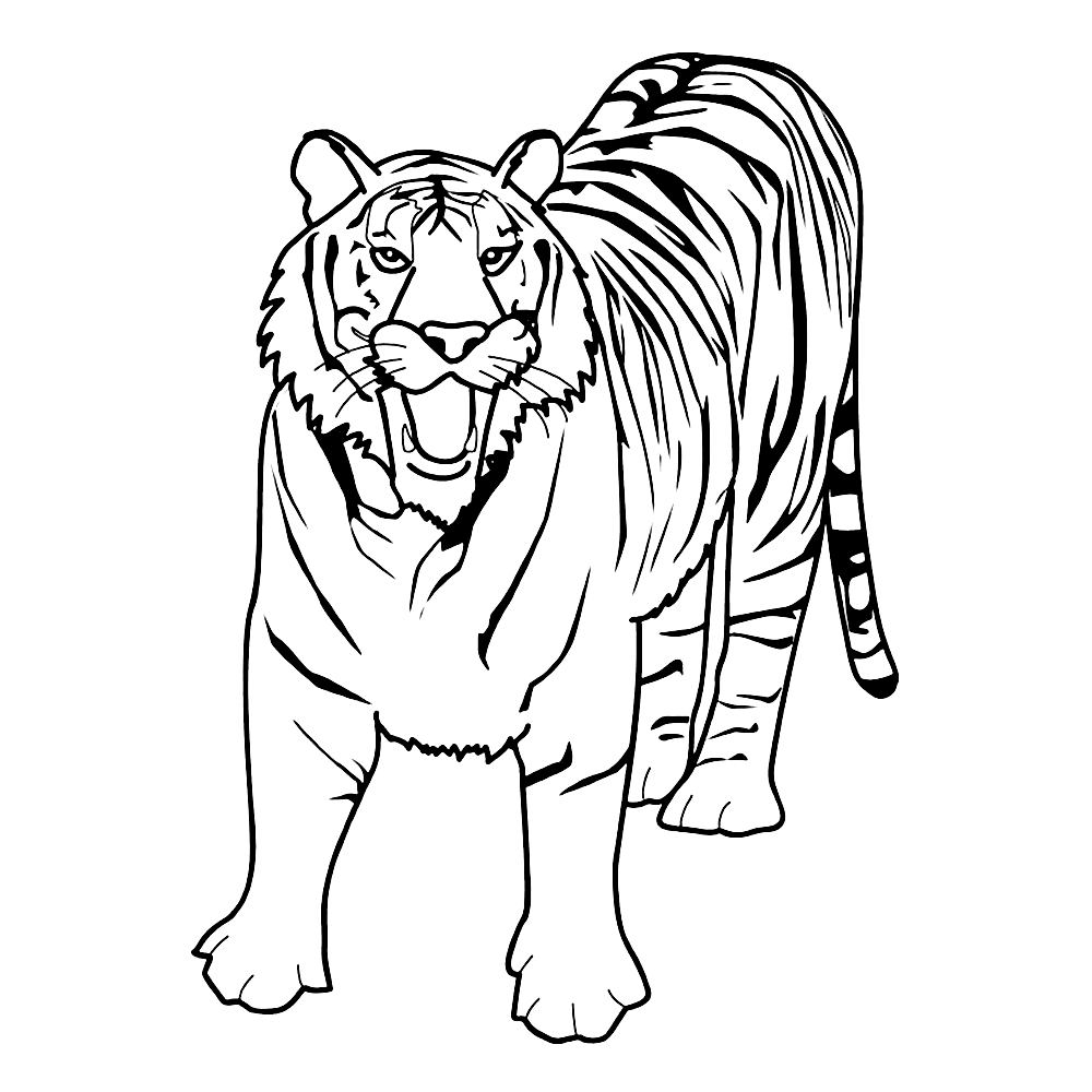 bekijk tijgers-0001 kleurplaat