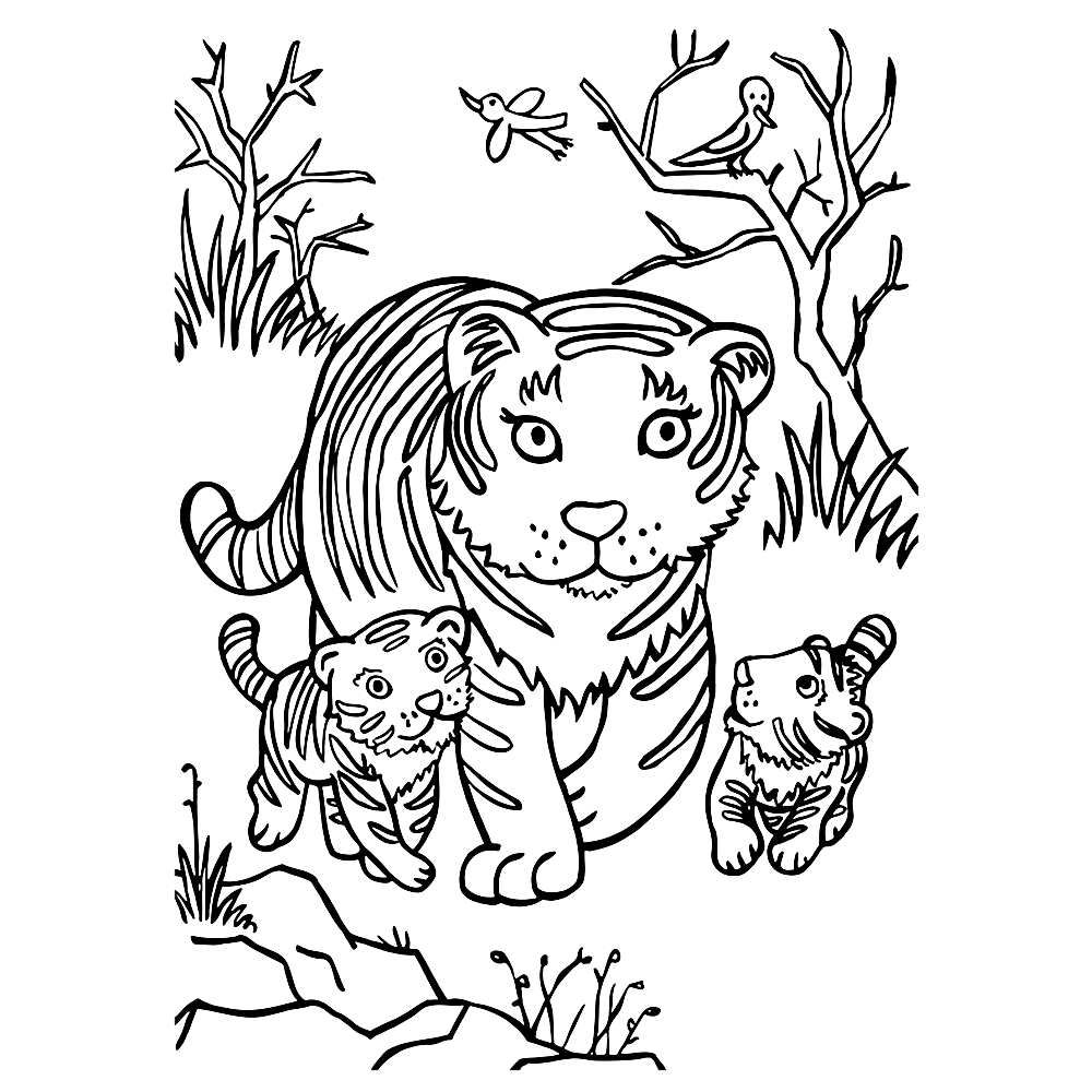bekijk tijgers-0003 kleurplaat