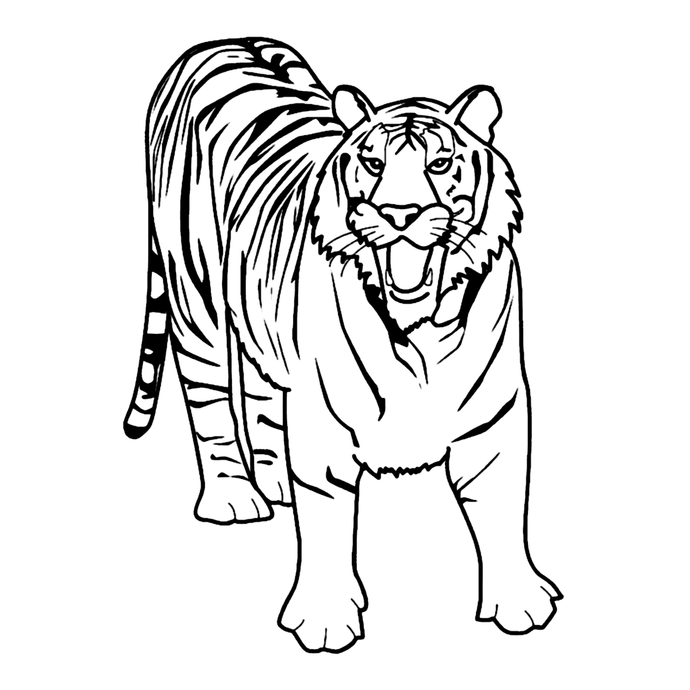 bekijk tijgers-0009 kleurplaat