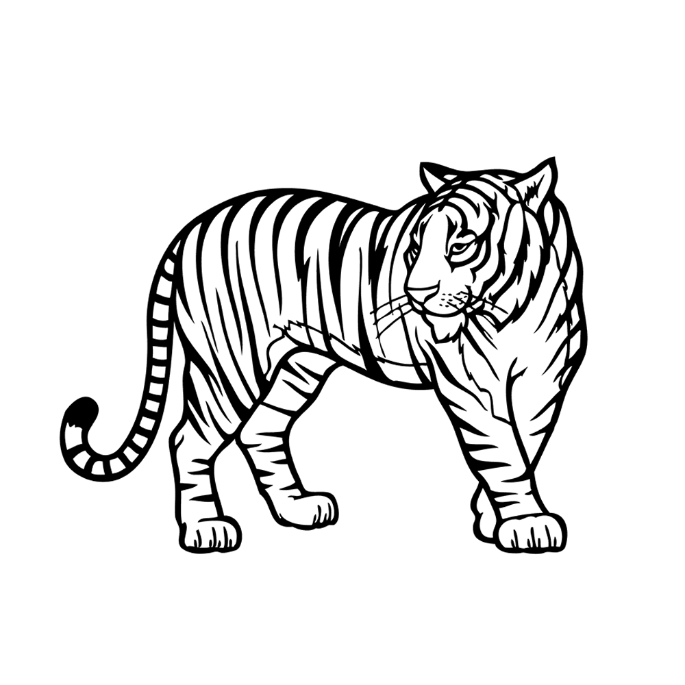 bekijk tijgers-0010 kleurplaat